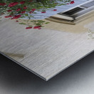 Roses climbing a wall Lourmarin Metal print