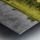 Tulips Jardins des Tuileries - Paris Metal print