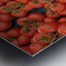 Tomatos at the Thursday Market - Boulevard Saint Germain Metal print