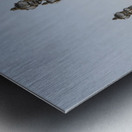 Nymphs of the Seine on Pont Alexandre III - Paris Metal print