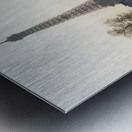 Pont Alexandre III and the Eiffel Tower from the Seine River - Paris Metal print