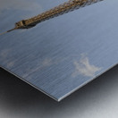 Sightseeing boats and the Eiffel Tower Paris Metal print