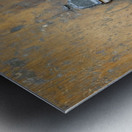 Door Knocker Paris Metal print