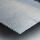 Lava Cactus Brachycereus nesioticus Punta Espinosa Fernandina Island Galapagos Islands Ecuador Metal print