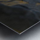 Galapagos Hawk Buteo galapagoensis eating a marine iguana Punta Espinosa Fernandina Island Galapagos Islands Ecuador
 Metal print