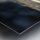 Marine Iguana at sunset Amblyrhynchus cristatus Punta Espinosa Fernandina Island Galapagos Islands Ecuador Metal print