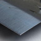 Gal?pagos sea lion Zalophus wollebaeki pup Puerto Egas Santiago Island Galapagos Islands Ecuador Metal print