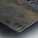 American Oystercatchers Haematopus palliatus sitting on lava Puerto Egas Santiago Island Galapagos Islands Ecuador
 Metal print