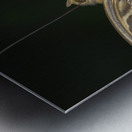 Owl butterfly Caligo idomeneus in the Amazon rainforest Amazon Ecuador Metal print