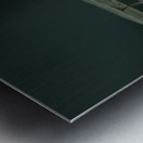 Butterfly at the La Selva Jungle Lodge butterfly farm Amazon Ecuador Metal print