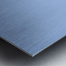 Blue footed Booby Sula nebouxii Punta Moreno Isabela Island Galapagos Islands Ecuador Metal print