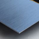 Brown Pelican Pelecanus occidentalis Elizabeth Bay Isabela Island Galapagos Islands Ecuador Metal print