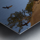 CORMORANTS FLYING ABOVE SCULPTED SANDSTONE CLIFFS Metal print