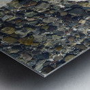 Detail image of rocks and shells on the beach Metal print