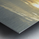 Sunset over Vancouver Island with silhouetted trees Metal print