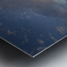 Sunset over Vancouver Island with silhouetted trees Metal print