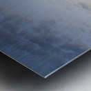 Silhouetted trees at sunset Metal print