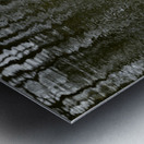 Trees reflected in the ocean Metal print