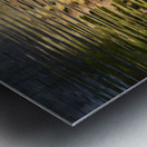 Trees reflected in the ocean Metal print