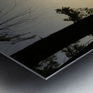 Large dog silhouetted at sunset - Wallace Island Metal print