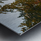 Arbutus and fir trees on the point at Conover Cove Metal print