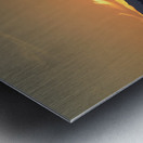 Kayakers near islets at the entrance to Princess Bay Metal print