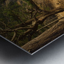 Wood fencing along the cliffs at East Cove Metal print