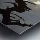 Calm sunset - James Island - San Juan Islands Metal print