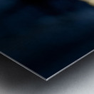 Marine Iguana perched on the rocks Punta Espinosa Metal print