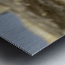 Galapagos Hawk Buteo galapagoensis perched on lava Metal print