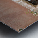 Wooden door with door knocker. Roussillon. France Metal print