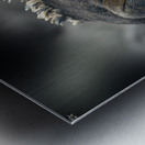 KO EC 9612 Metal print