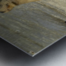 KO EC 13710 Metal print