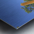 KO EC 8313 Metal print