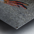 KO EC 10178 Metal print