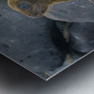 KO EC 14065 Metal print