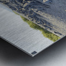 Group of Marine Iguanas on the sand. Punta Espinosa. Fernandina Island. Galapagos Islands. Ecuador Metal print