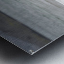 Galapagos sea lions Zalophus wollebaeki playing in the waves on Playa Espumilla. Santiago Island. Galapagos Islands. Ecuador Metal print