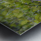 KO EC 7861 Metal print