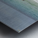 Looking out to sea at Punta Cormorant Floreana Island Galapagos Islands Ecuador Metal print