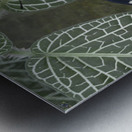 KO EC 17760 Metal print