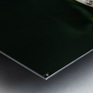 Owl butterfly Caligo idomeneus. Amazon. Ecuador Metal print