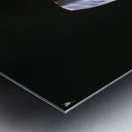 Butterfly at the La Selva Jungle Lodge butterfly farm Metal print