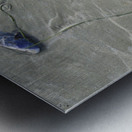 Abstract photo of mussels on the sand Chesterman Beach Metal print