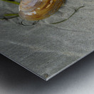 Chesterman Beach Vancouver Island British Columbia Metal print