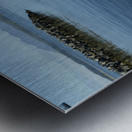 Two native canoes anchored in Tofino Harbour Metal print