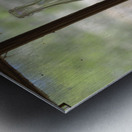 KO B40650 Metal print