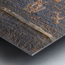 Ancient petroglyphs showcasing animal figures and geometric designs Crane Petroglyph Site Verde Valley Arizona Metal print