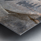 Black petroglyphs of animals Palatki Ruins Arizona USA Metal print