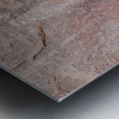 Petroglyphs in Valley of Fire State Park Nevada USA Metal print